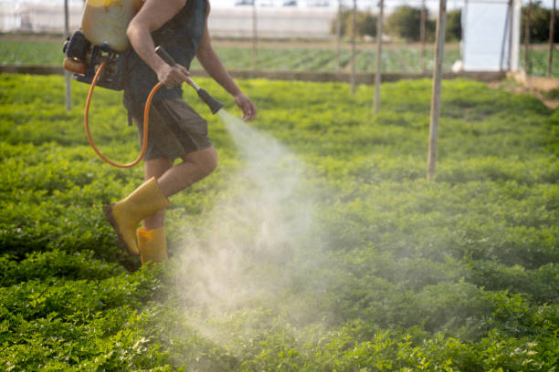 Reliable North Fond Du Lac, WI Pest Control Solutions