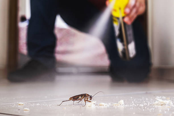 Flea Control Services in North Fond Du Lac, WI