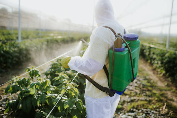 Wasp Removal Services in North Fond Du Lac, WI